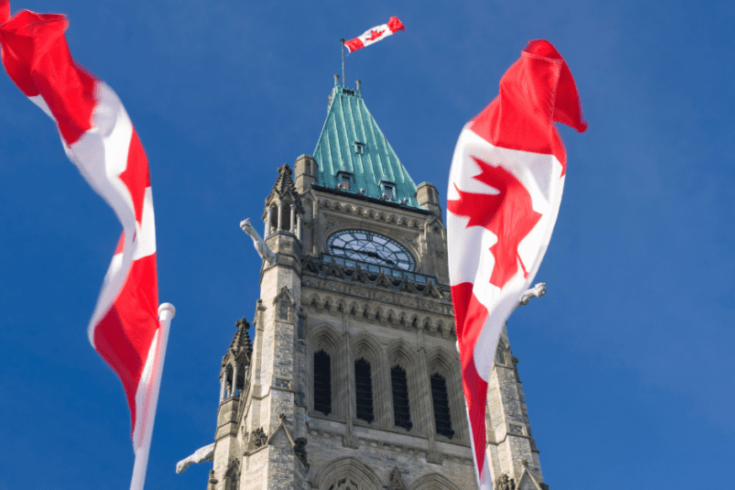 FREE fingerprinting for Federal Government security clearances Altis